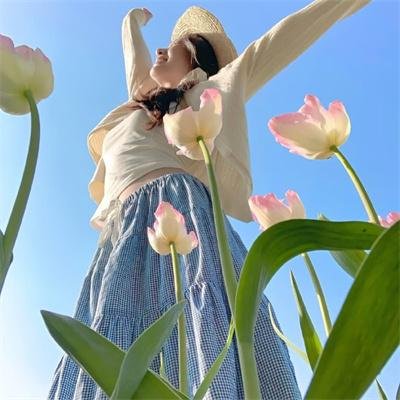 东京七姐妹：我们化作青空